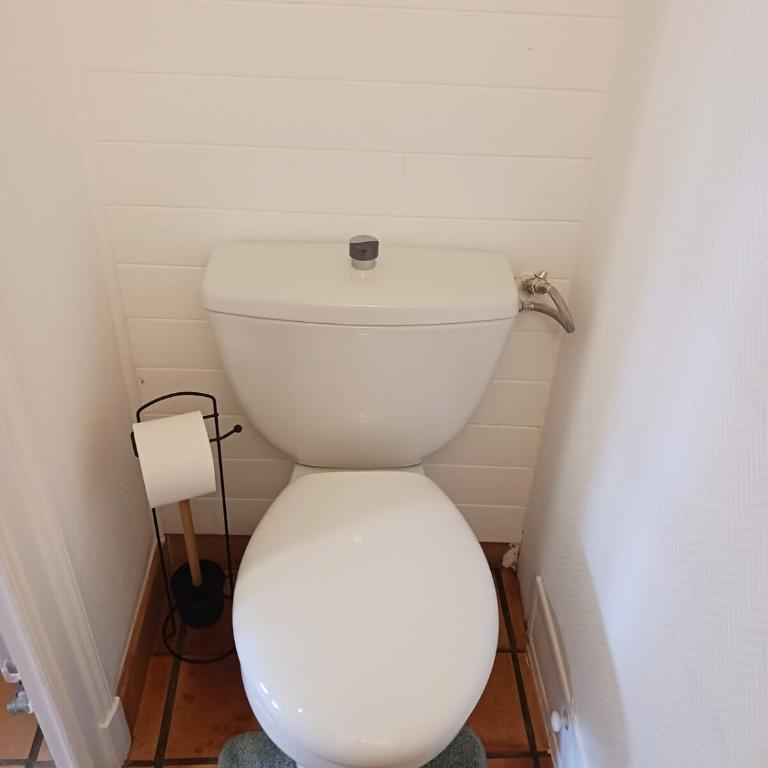 Appartement tout confort dans maison de charme - Appartement 1 Chambre avec Jardin - 30