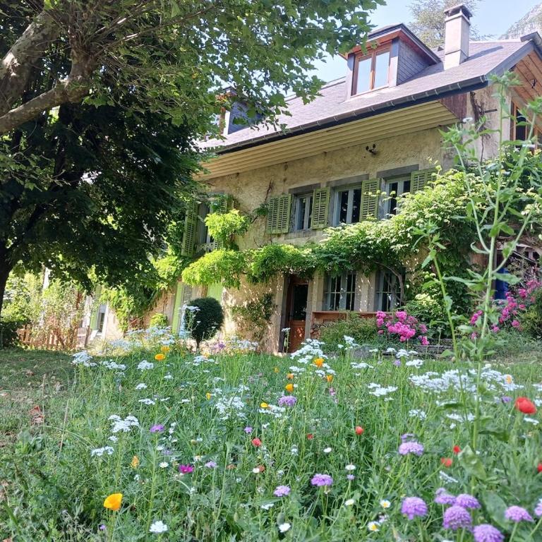 Appartement tout confort dans maison de charme - Appartement 1 Chambre avec Jardin - 23