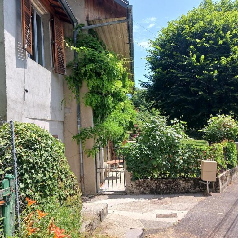 Appartement tout confort dans maison de charme - Appartement 1 Chambre avec Jardin - 37