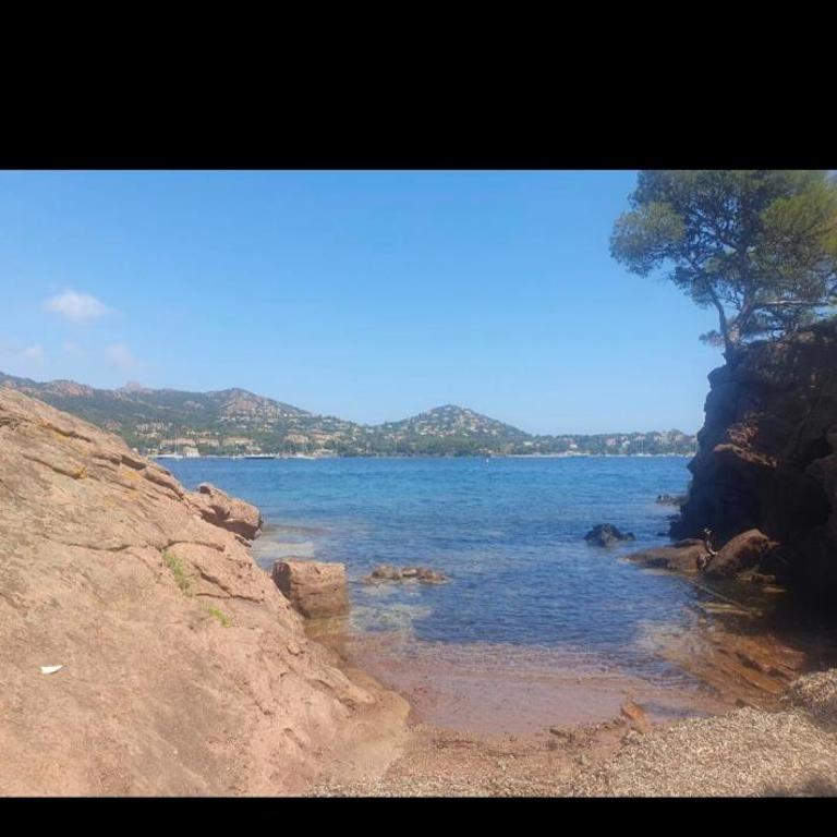 Maison provençale authentique en front de mer à Agay - Villa Superior - 29