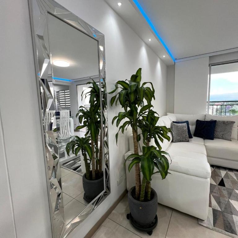 Norte cali Apartmento celeste - Apartamento de 2 dormitorios - 23