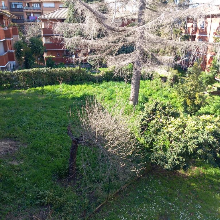 La Casa dei Nonni - Casa con 3 Camere da Letto - 3