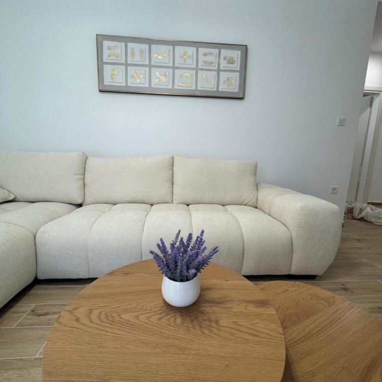 Apartments Svetlana, Igalo - One-Bedroom Apartment with Terrace - 7