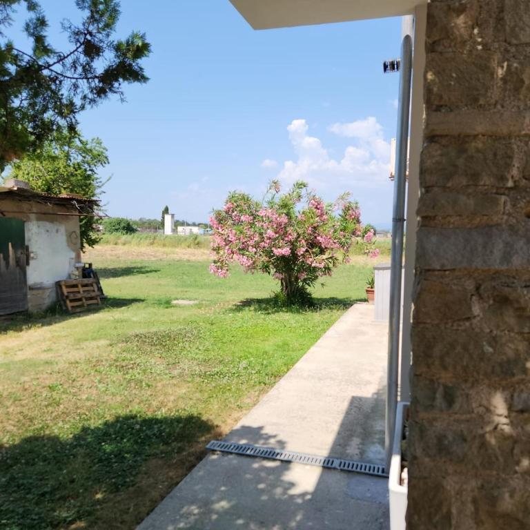 Appartamento Morelli Beach - Via Lago di Misurina - Appartamento con 1 Camera da Letto e con Giardino - 16