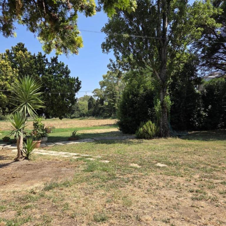 Appartamento Morelli Beach - Via Lago di Misurina - Appartamento con 1 Camera da Letto e con Giardino - 17