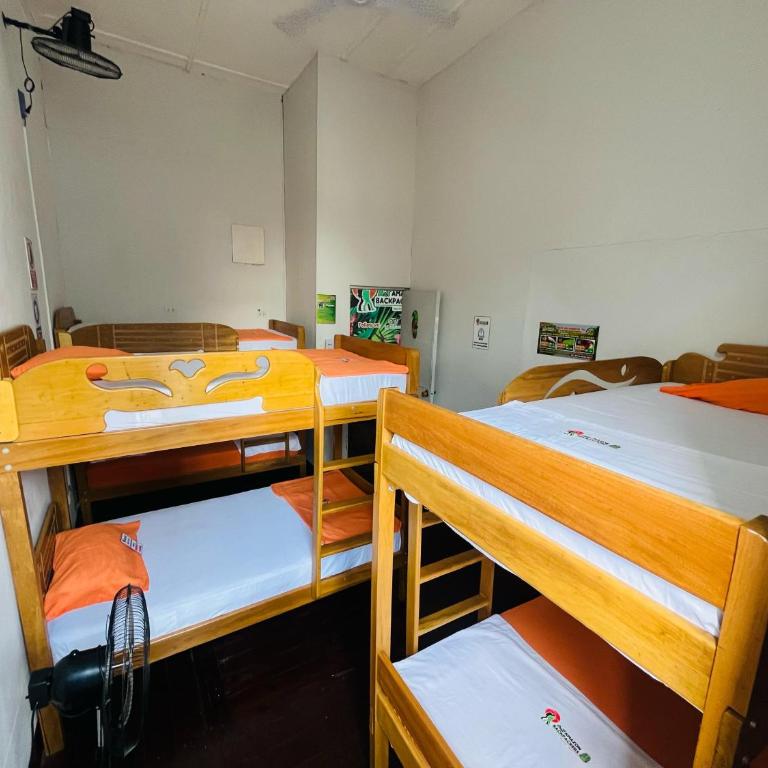 A&T Amazon Backpacker - Rooftop - Habitación Compartida Mixta de 6 camas - 3