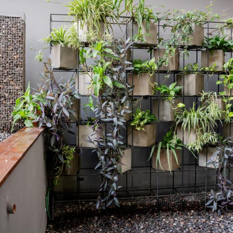 La Gringa - Home - One-Bedroom Apartment - 5