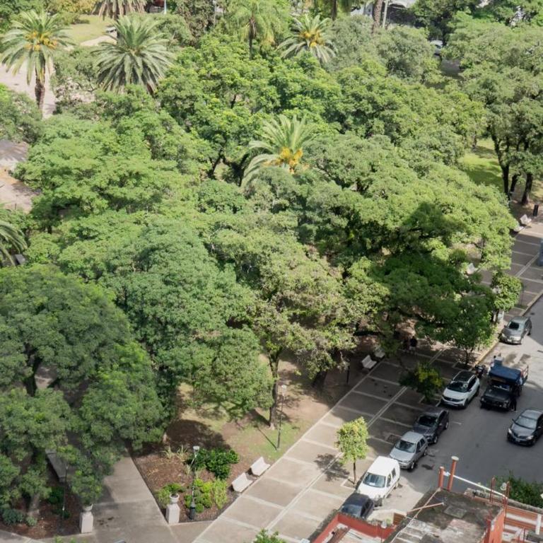 La Gringa - Home - One-Bedroom Apartment - 23