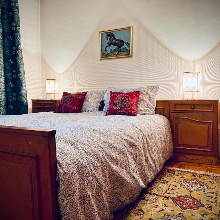 Spacious 3BR Apartment, Cozy & Authentic Sarajevo - Apartman sa 3 Spavaće Sobe - 11