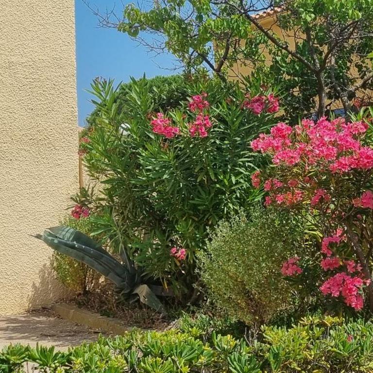 BORD DE MER, 5 min à pied de la plage, WIFI, TRES JOLI APPARTEMENT MAISONNETTE 4 COUCHAGES, - Appartamento con 1 Camera da Letto - 36