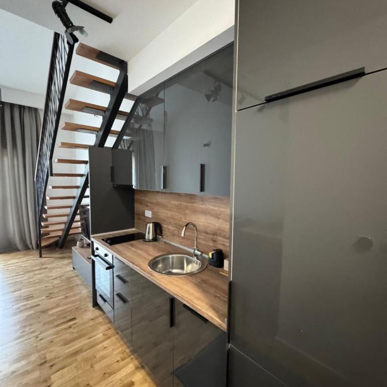 MIA & SPA apartment Kolasin - Apartman sa 1 Spavaćom Sobom - 4