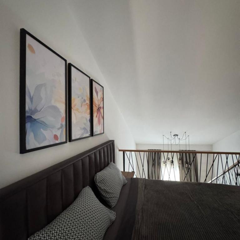 MIA & SPA apartment Kolasin - Apartman sa 1 Spavaćom Sobom - 16