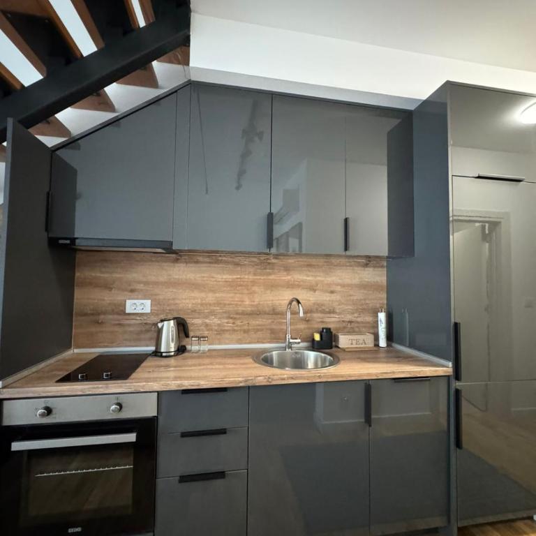 MIA & SPA apartment Kolasin - Apartman sa 1 Spavaćom Sobom - 7