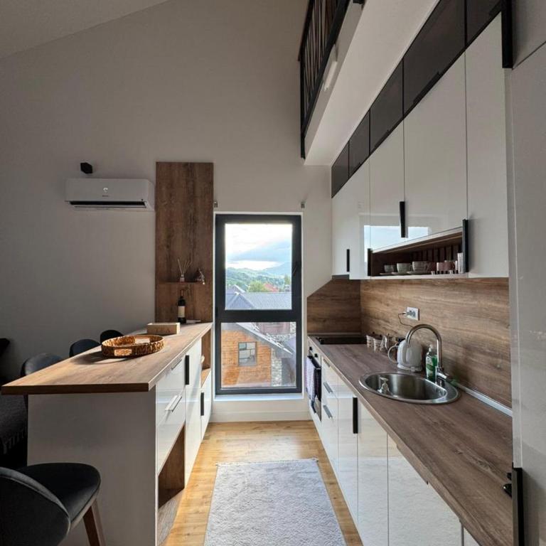 TARA & SPA apartment Kolasin - Apartman sa 2 Spavaće Sobe - 24