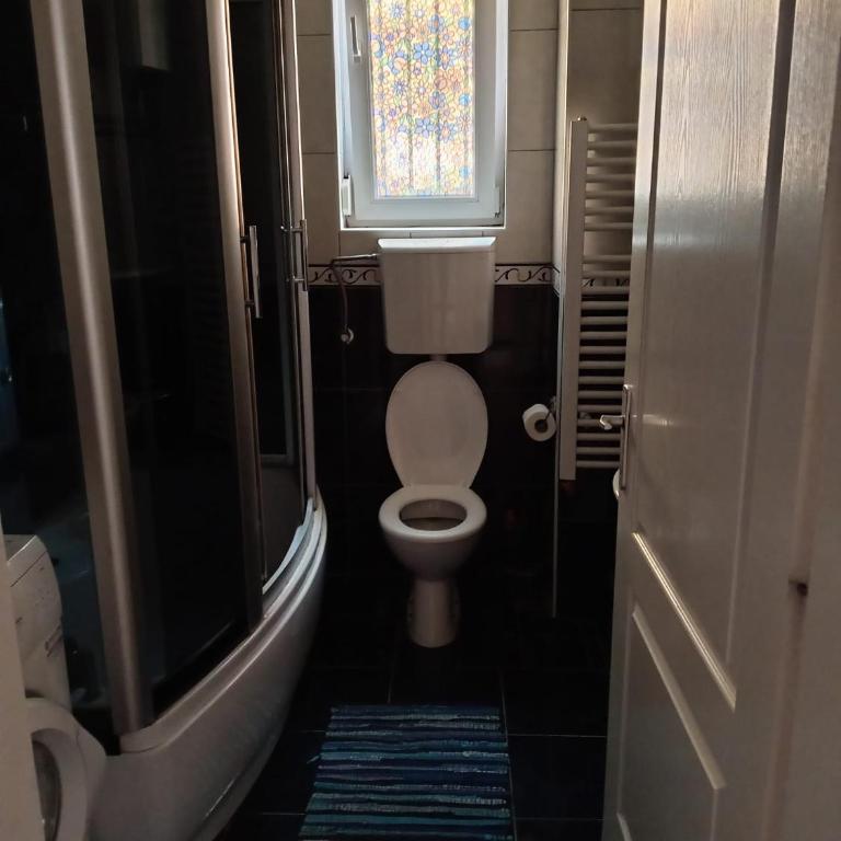 Apartman Ilić - Apartman sa 2 Spavaće Sobe - 9