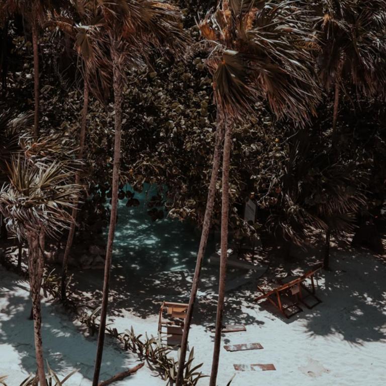 Niken Beachfront Tulum Hotel - Suite Junior con piscina privada - 10