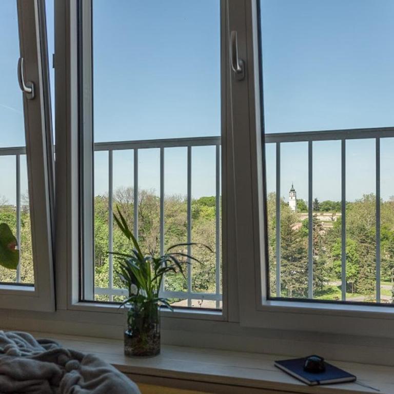 Kalemegdan Zen Line - One-Bedroom Apartment - 3