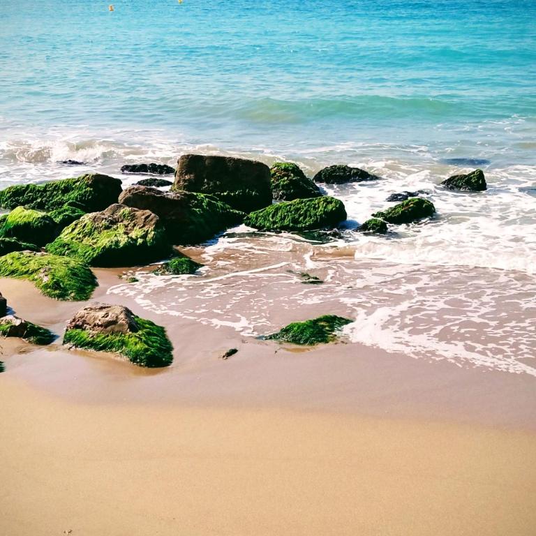 Tramuntana Beach - Apartment for 3 people - 24