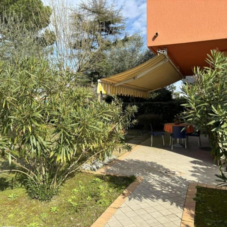 Spacious flat with private garden - Apartment - 4