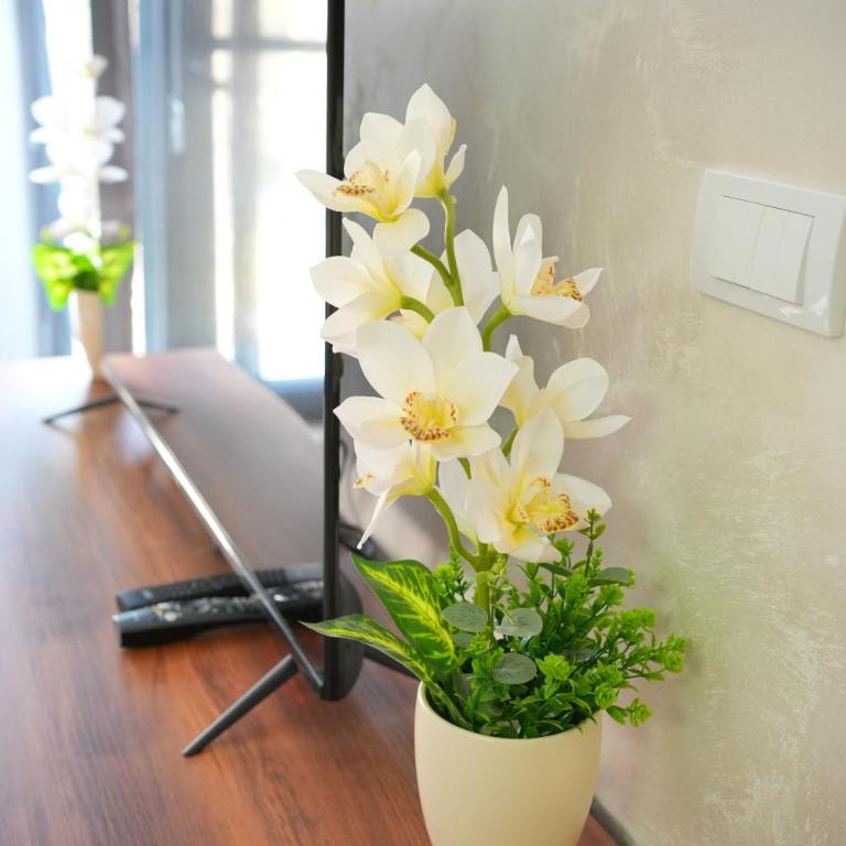 Green Hill Susic - Apartman sa 1 Spavaćom Sobom - 13