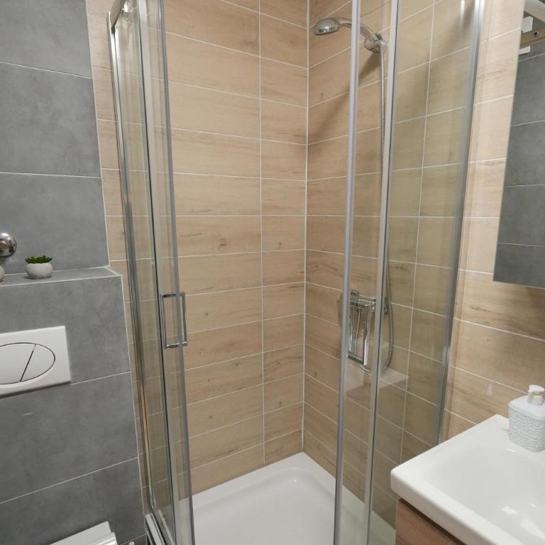 Green Hill Susic - Apartman sa 1 Spavaćom Sobom - 32