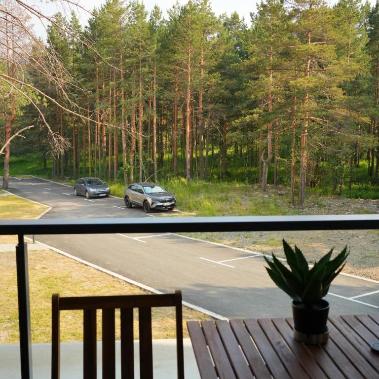 Green Hill Susic - Apartman sa 1 Spavaćom Sobom - 41