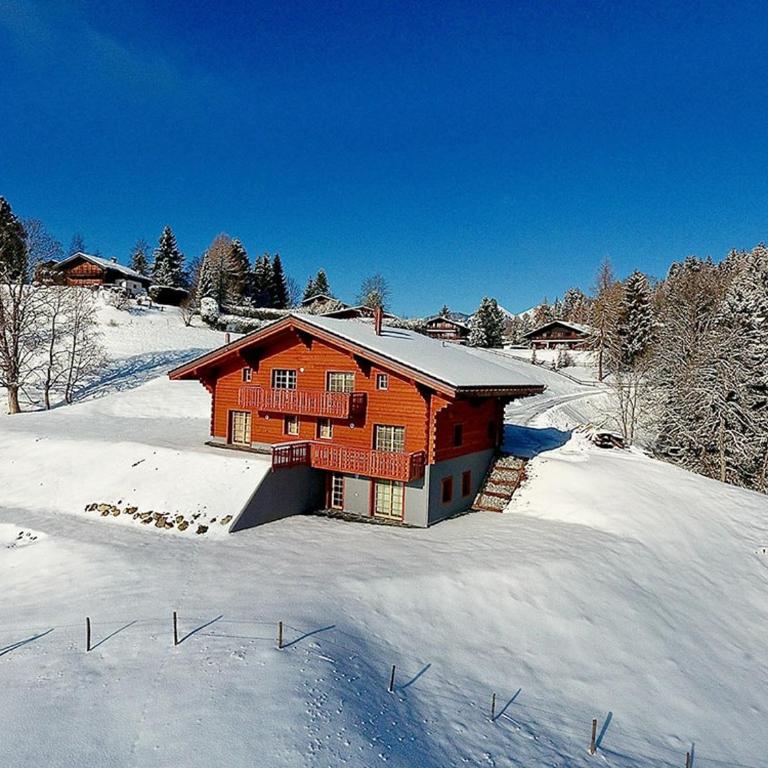 PetitChevrier - 6BR Spacious Chalet in Villars - Designed for Accessibility - Chalet - 3