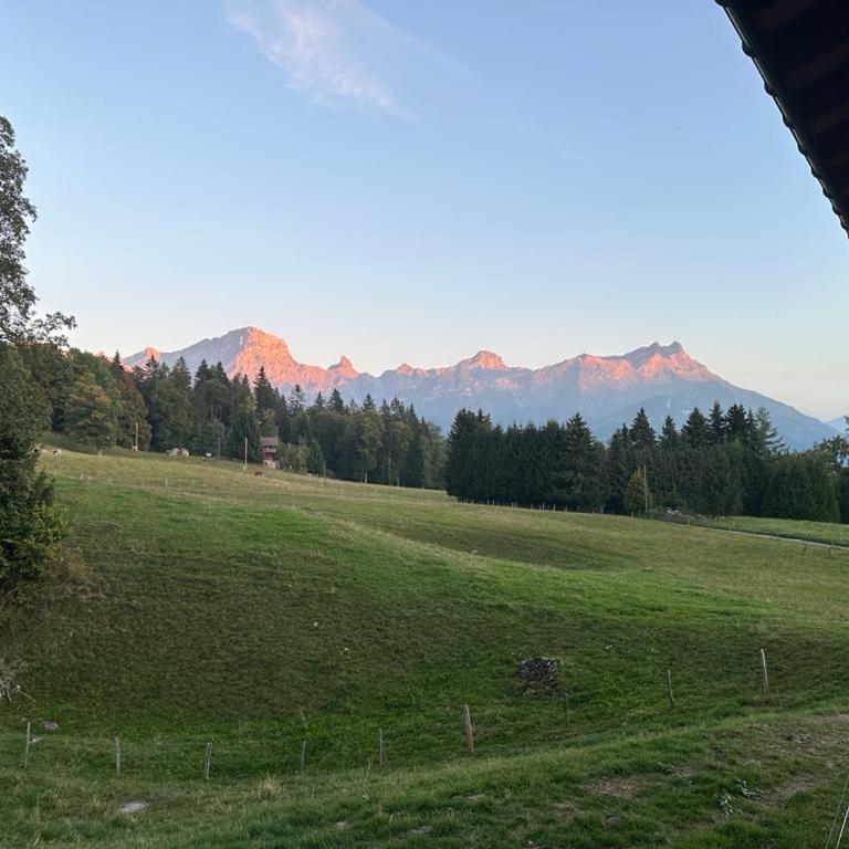 PetitChevrier - 6BR Spacious Chalet in Villars - Designed for Accessibility - Chalet - 66