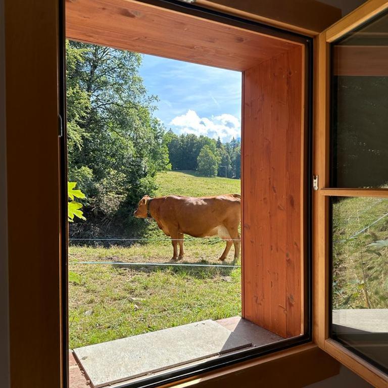 PetitChevrier - 6BR Spacious Chalet in Villars - Designed for Accessibility - Chalet - 9