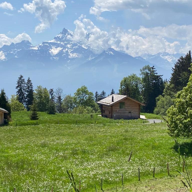 PetitChevrier - 6BR Spacious Chalet in Villars - Designed for Accessibility - Chalet - 68
