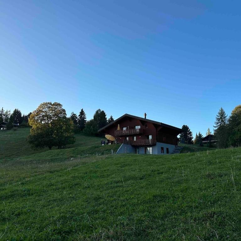 PetitChevrier - 6BR Spacious Chalet in Villars - Designed for Accessibility - Chalet - 55