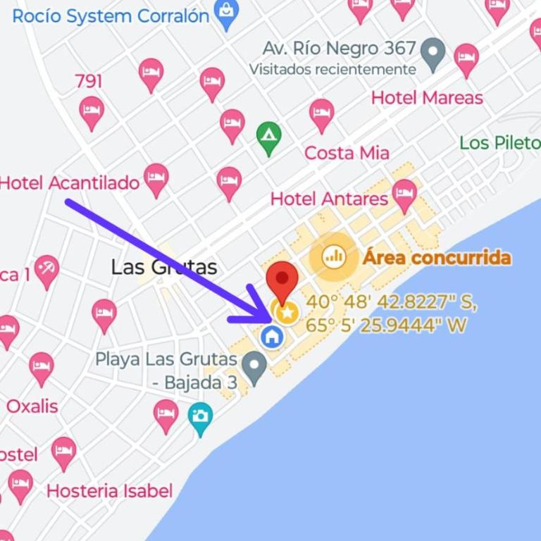 Peckyto - Apartamento de 1 dormitorio - 2
