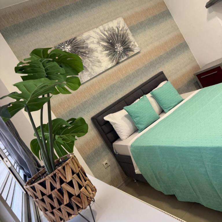 SpaNish apartman 6 - One-Bedroom Apartment - 6