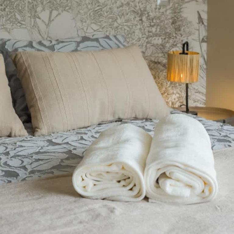 HT Osorno Espectacular Dpto Los Lagos WIFI - Apartamento - 67