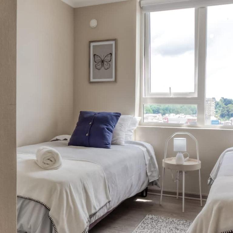 HT Osorno Espectacular Dpto Los Lagos WIFI - Apartamento - 83