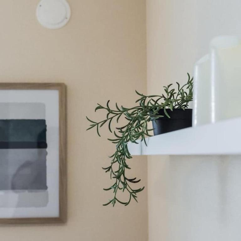 HT Osorno Espectacular Dpto Los Lagos WIFI - Apartamento - 94