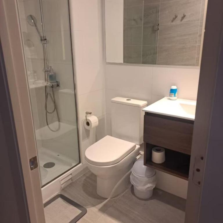 HT Villarrica Dpto en Plena Costanera - Apartamento - 11