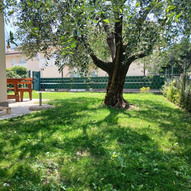 Casa ai due Ulivi - Two-Bedroom Apartment - 6