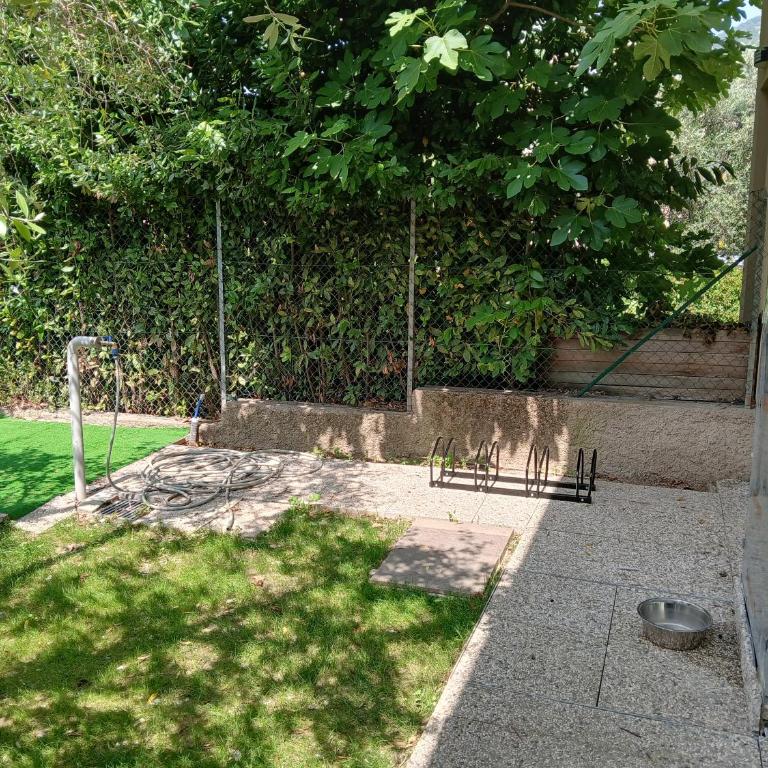 Casa ai due Ulivi - Two-Bedroom Apartment - 8