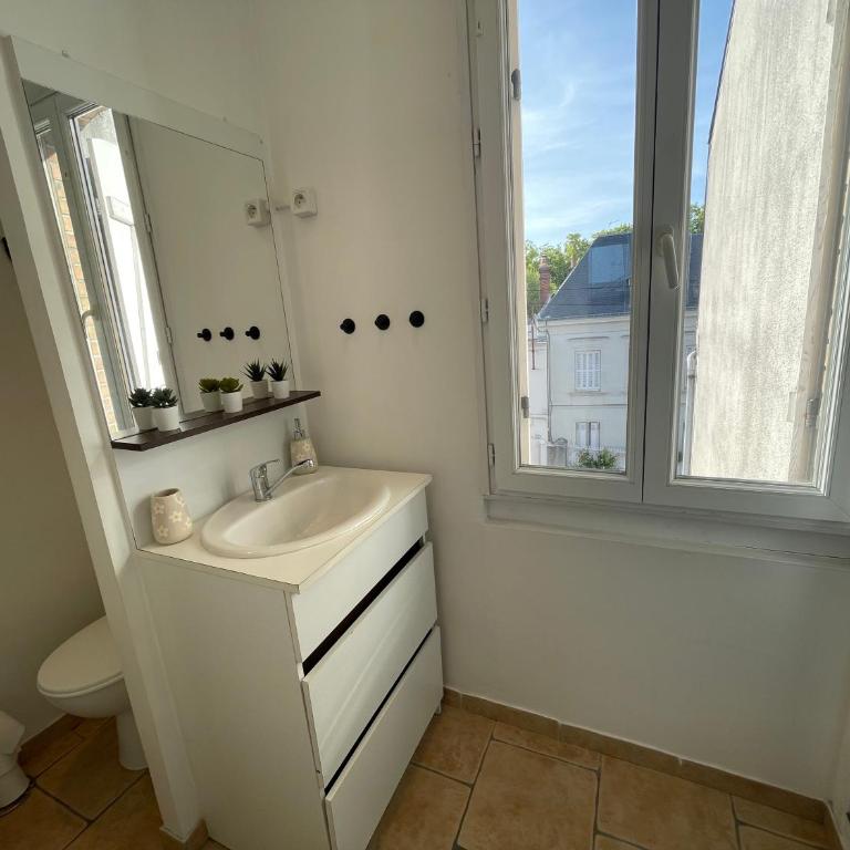 Le Cocon du Rempart Studio de charme avec mezzanine TOURS centre - Appartamento con 1 Camera da Letto - 19