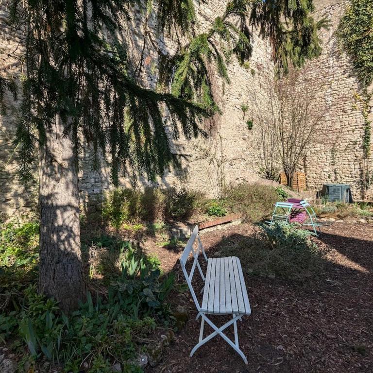 Vaste studio quartier historique - One-Bedroom Apartment - 5