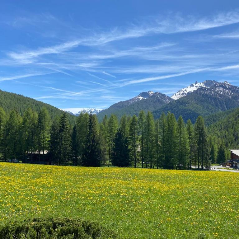 Granges d'Arvieux, Splendide T2, Rdc, Vue dégagée - Appartement 1 Chambre - 4