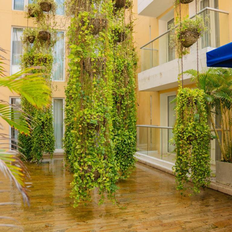 Nacar Hotel Cartagena, Curio Collection by Hilton - Suite Junior con cama extragrande y vistas al patio - 7