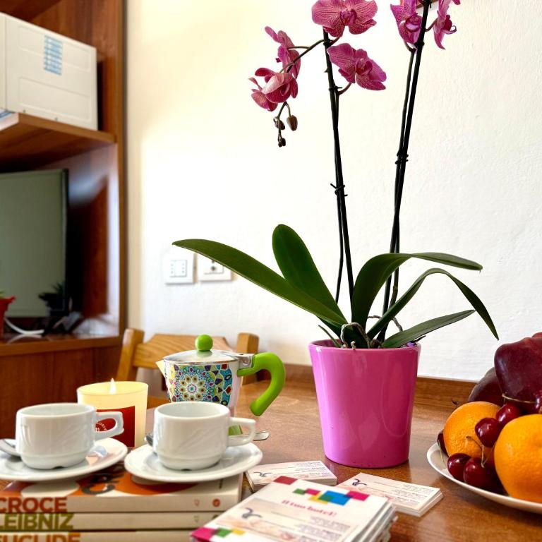 Residence Algarve - Monolocale con Balcone - 28