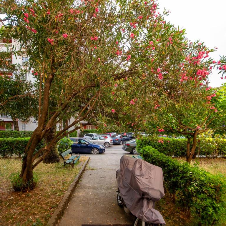 Palm street apartment near Dukley beach - Apartman sa 1 Spavaćom Sobom - 36