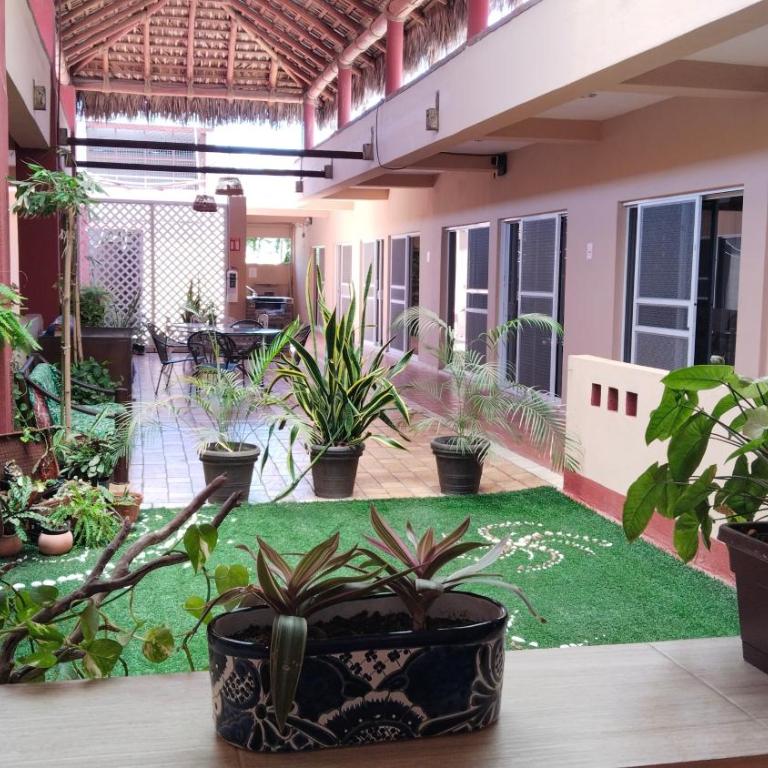 Studio in the heart of Cabo San Lucas - Appartement 1 Chambre - 45