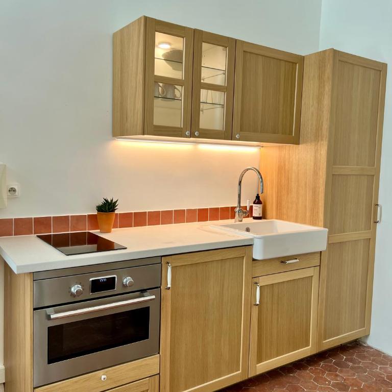 Les Appartements de la rue Vial - Studio - 2