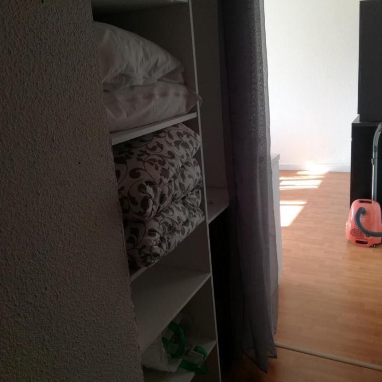 studio très agréable, toutes saisons avec parking - Appartement 1 Chambre - 31