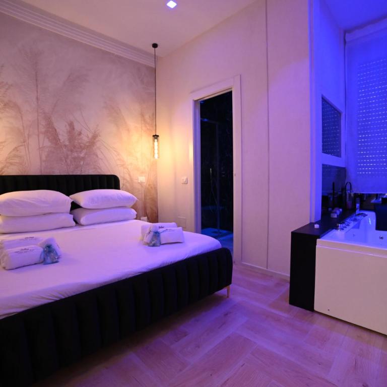 Gran Duca Santo Stefano Suite ZONA CASALE VICINO AEROPORTO - Appartamento con 1 Camera da Letto - 1