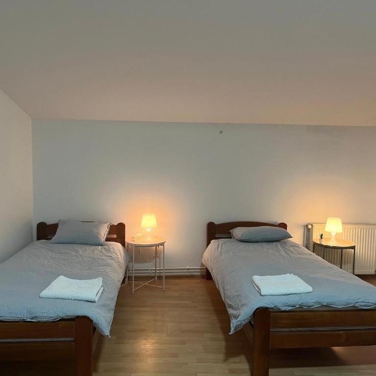 Aliyah Hostel - Bed in 4-Bed Mixed Dormitory Room - 9